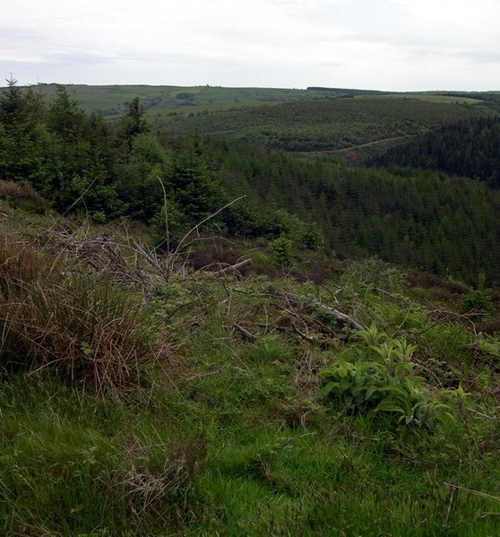 File:Above Allt clyn mawr - geograph.org.uk - 1317224.jpg