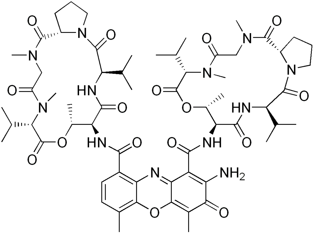 Dactinomycin