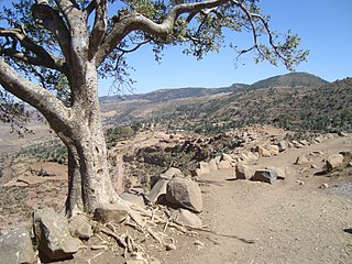 <span class="mw-page-title-main">Aregen</span> Municipality in Tigray Region, Ethiopia