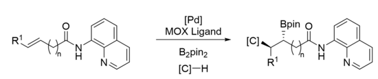 An enantioselective, AQ-directed 1,2 carboboration utilizing a nucleophile instead of an electrophile and featuring reverse regioselectivity in an unprecedented Wacker-type carboboration. An enantioselective, AQ-directed 1,2 carboboration utilizing a nucleophile instead of an electrophile and featuring reverse regioselectivity in an unprecedented Wacker-type carboboration.png