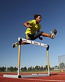 Angela Whyte konnte sich mit 13,38 s nicht für die nächste Runde qualifizieren