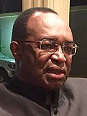 Anicet Georges Dologuele 2015 (decupat) .jpg