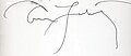Annie Leibovitz (signature).jpg
