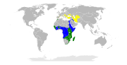 Aire de répartition du Crabier chevelu