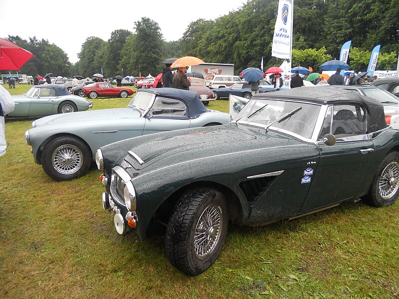 File:Austin Healey 3000 2.JPG