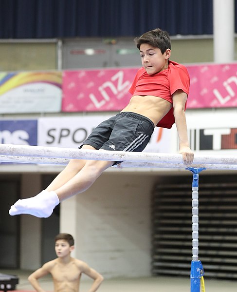 File:Austrian Future Cup 2018-11-23 Training Afternoon Parallel bars (Martin Rulsch) 0641.jpg