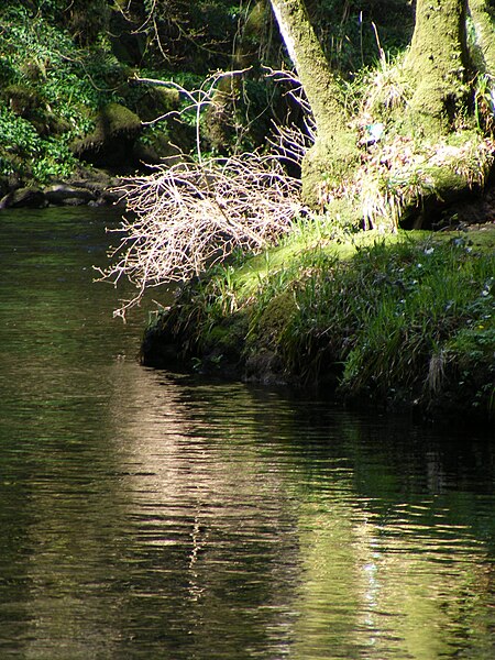 File:Avonmore River 1.jpg