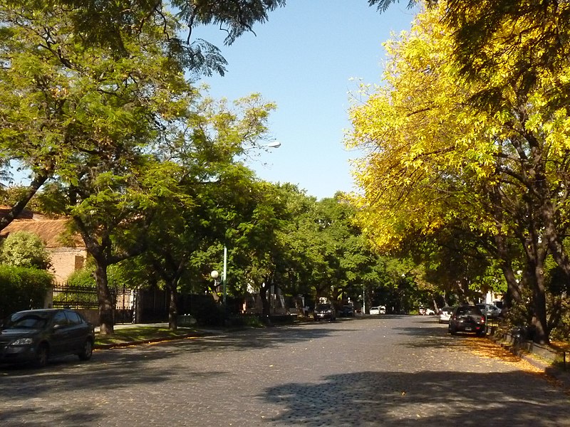 File:BELGRANO - panoramio.jpg