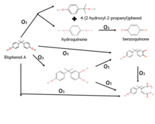 Health Effects Of Bisphenol A Wikipedia