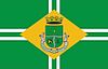 Flag of Rosário do Sul