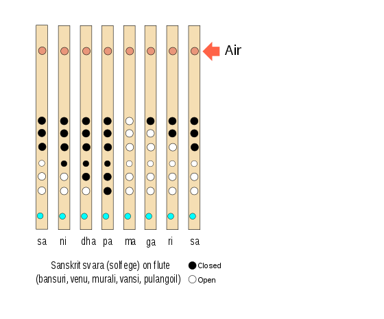 The swara (solfège) notes as designed into a bansuri (descending representation)
