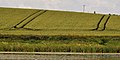 Barley field, Soldierstown near Moira (1) - geograph.org.uk - 2498900.jpg