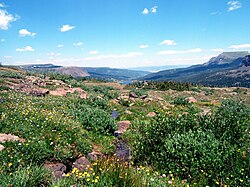 Bear River (Colorado) source.jpg