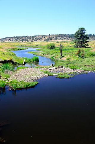 <span class="mw-page-title-main">Beaver Creek (Crooked River tributary)</span> River in Oregon, United States