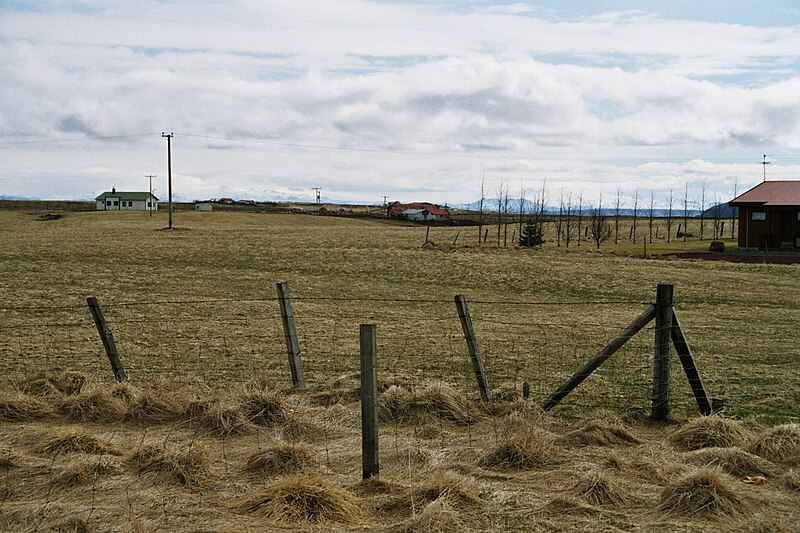 File:Bei Selfoss.JPG