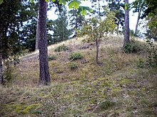 Toma asiento antes de ver a Bjorn Ironside de 'Vikingos' en esta zambullida  matutina en la vida real