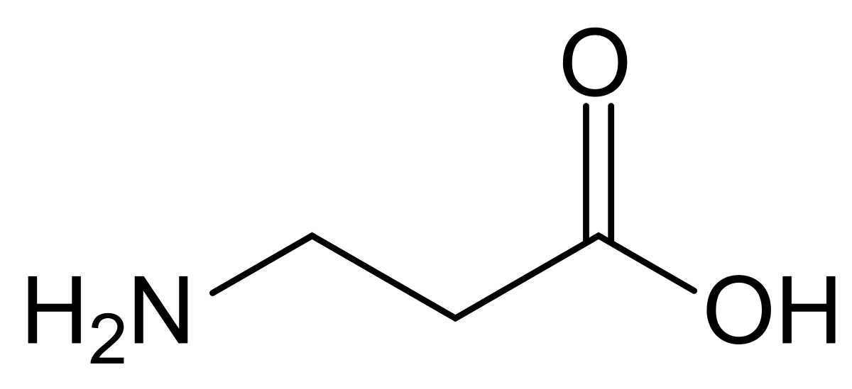 https://upload.wikimedia.org/wikipedia/commons/thumb/3/35/Beta-alanine_structure.svg/1200px-Beta-alanine_structure.svg.png