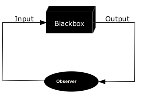When the observer (an agent) can also do some stimulus (input), the relation with the black box is not only an observation, but an experiment.