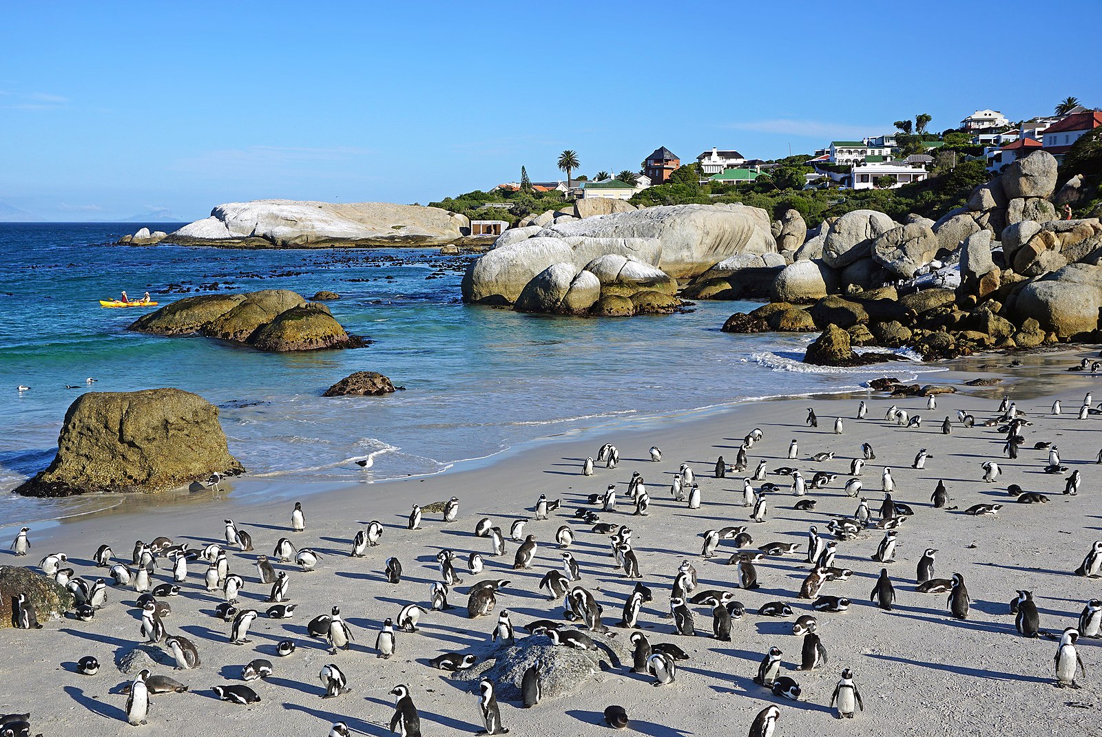 кейптаун пляжи