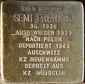 Braunschweig Helmstedter Straße 3 Stolperstein Semi Frenkel