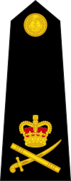 Britse Royal Marines OF-8.svg