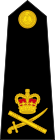 British Royal Marines OF-8.svg