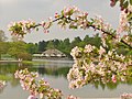 Britzer Garten - Fruehling (Britz Garden - Springtime) - geo.hlipp.de - 36179.jpg