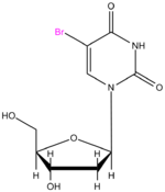 Bromodeoxyuridine makalesinin açıklayıcı görüntüsü