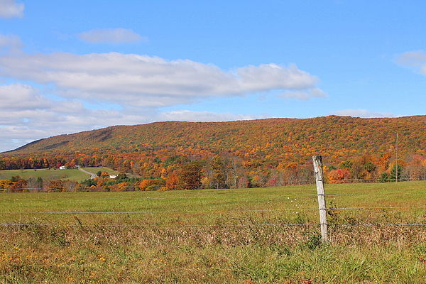 Image: Buck Mountain from Buck Mountain Road