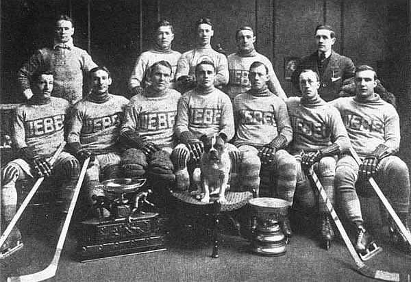 Team photograph of the Quebec Bulldogs, c. 1914. The Bulldogs were one of two professional hockey clubs formerly based in Quebec City