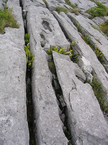 File:Burren (caruth).jpg