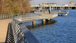 Lady Bird Lake