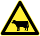 China: Farm Animals Crossing.