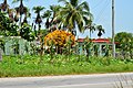 CUBA - panoramio (65).jpg