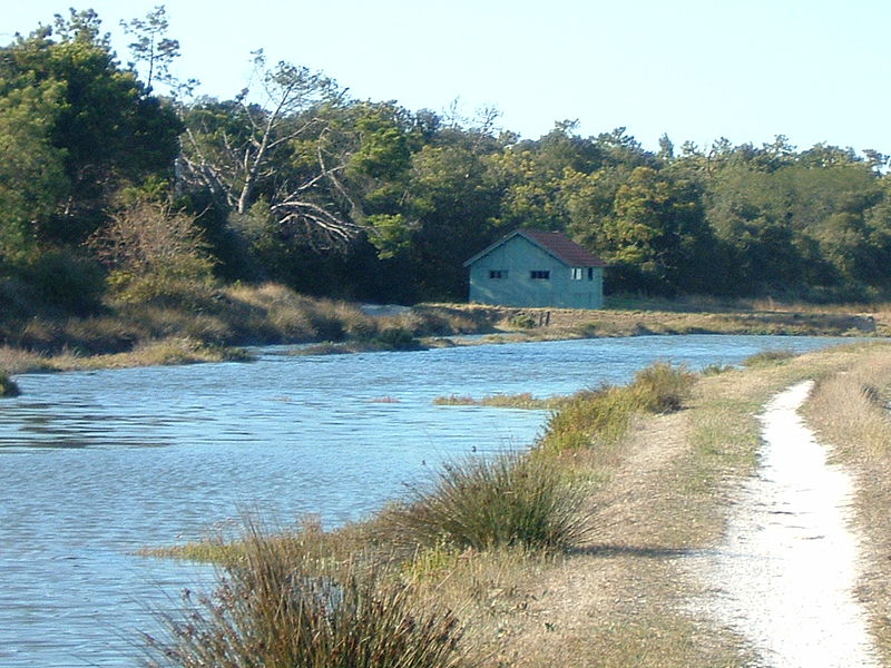 File:Cabane ostréicole Fort Royer.JPG