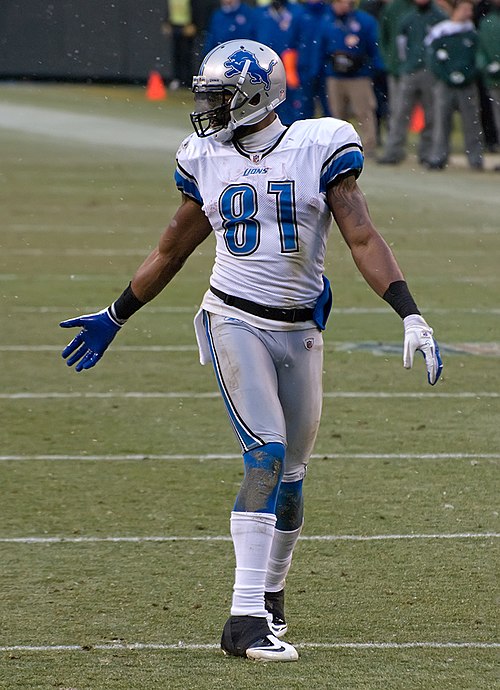 Calvin Johnson