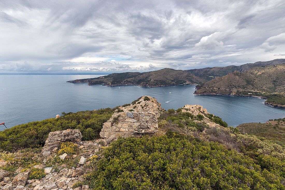 Cap de Norfeu