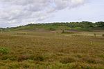 Castle Hill, Hampshire