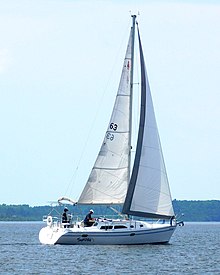 Catalina 310 yelkanli qayiq Sundog 1245.jpg