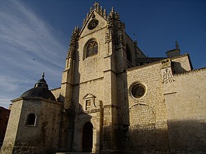 Catedral Palencia desde San Antolín.JPG