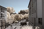 Fotografia infraroja de Ceret