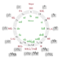 Miniatuur voor Bestand:Circle of fifths deluxe 4 catala.png