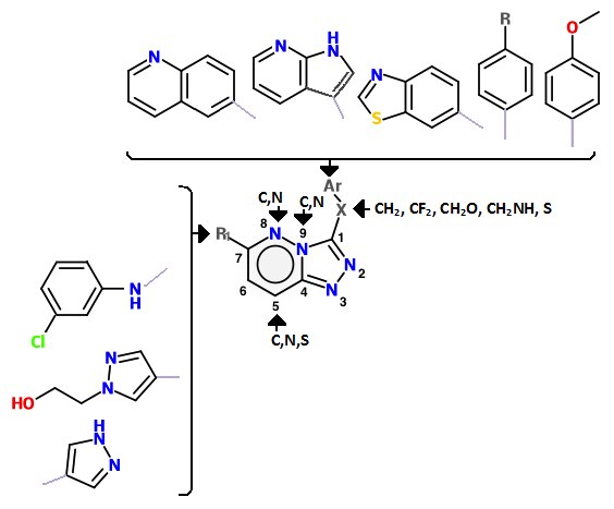 File:Class I c-met inhibitors analogs.tif