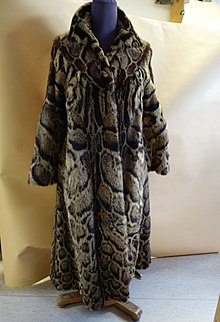 A coat made of clouded leopard skin. Poaching for illegal trade of skin is one of the main threats to the clouded leopard. Clouded leopard coat (1).jpg