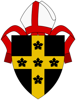 <span class="mw-page-title-main">Diocese of St Davids</span> Anglican diocese of the Church in Wales