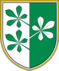 Coat of arms of the Kidričevo municipality