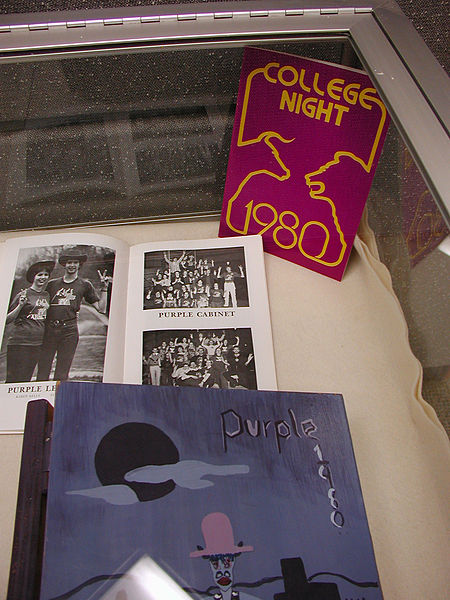 File:College Night Purple Display 10 detail 1 (4348593099).jpg