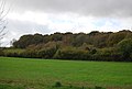 Combe Wood - geograph.org.uk - 1578621.jpg