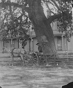 Conejo Hotel at Timberville, 1880s