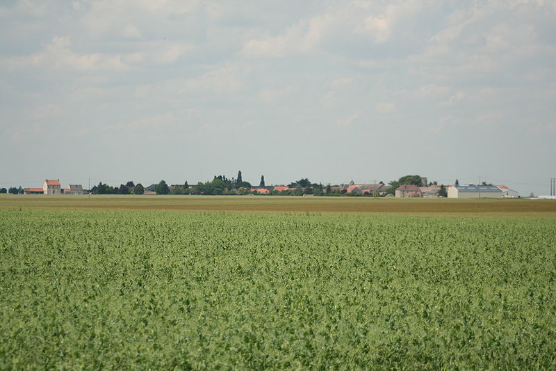 File:Congervile Thionville Vue générale.jpg